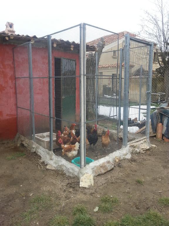 Хостел El Refugio Del Dragon Arcones Екстер'єр фото